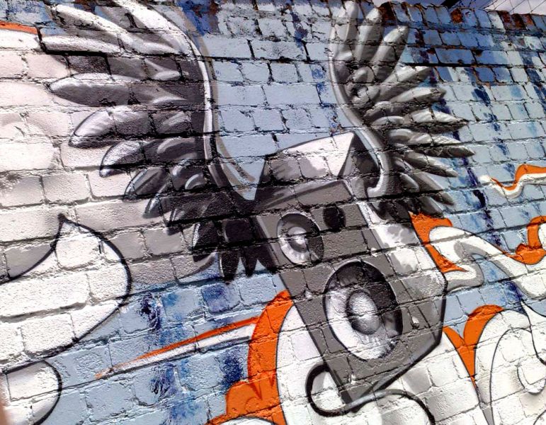 Mural Artist and graffiti painter childrens murals for